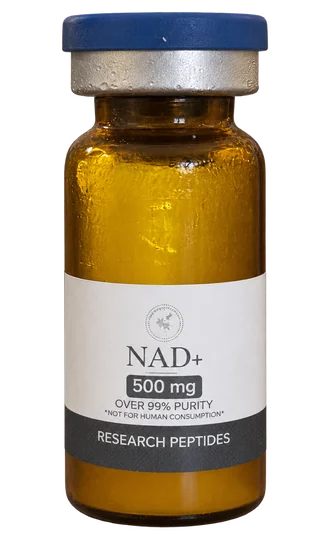 NAD+ 500mg amber vial with a blue cap, standing upright