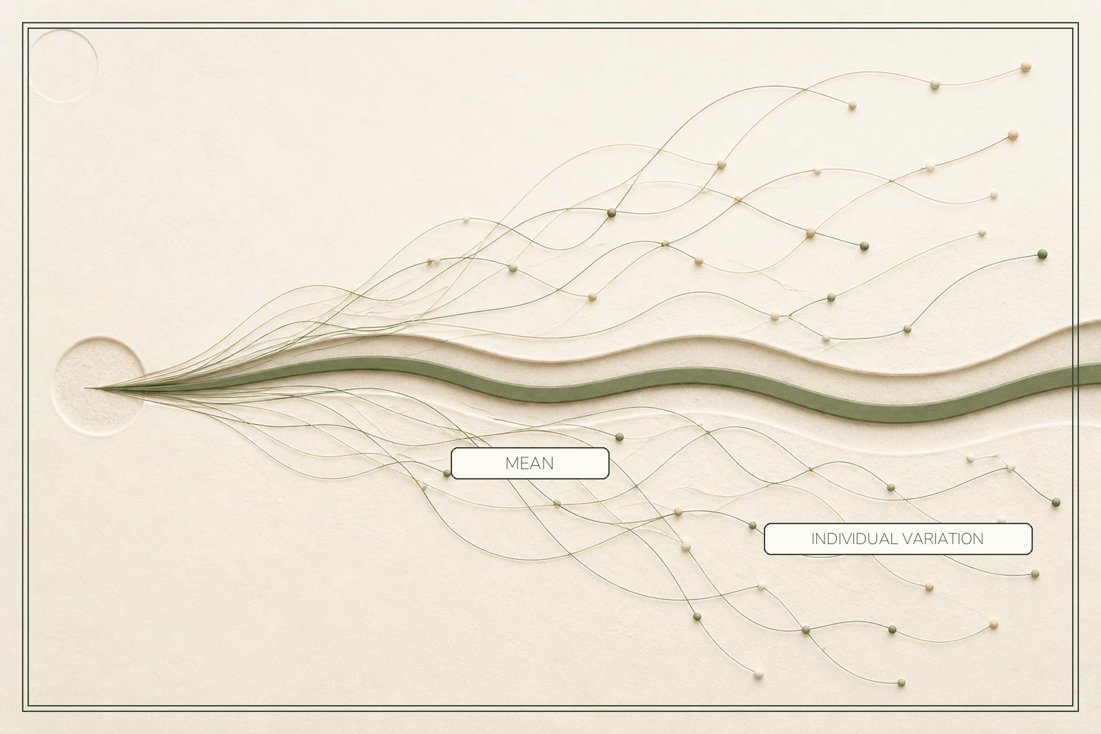 One bold mean trajectory runs through many individual trajectories that diverge widely around it.